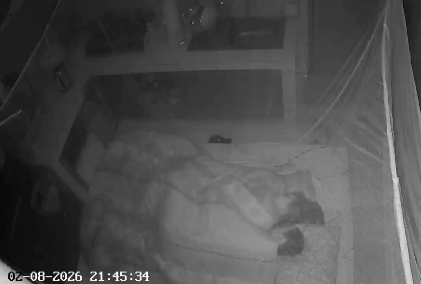 Gack cam nhà bếp 1